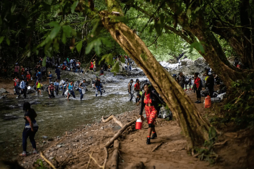 Alertan Aumento De Menores Que Migran Solos Y Atraviesan La Selva Del