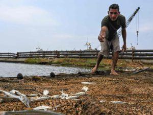 Pesca en Venezuela