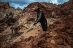 Minería ilegal
