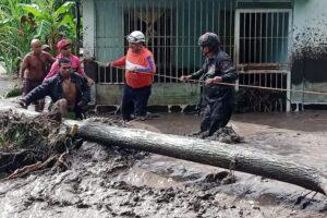 Cumanacoa